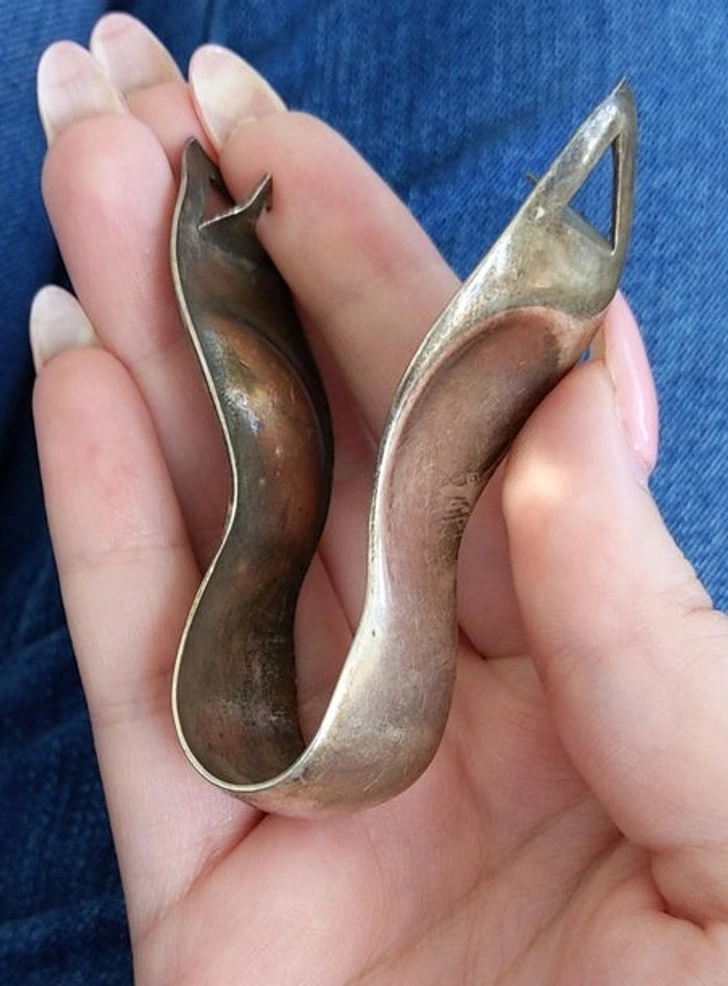 Une pince en argent fascinante